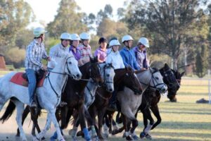 troop drill 2014 troop drill 2014